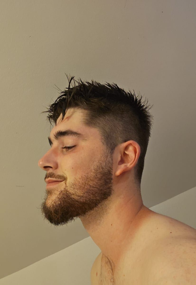 Profil de Ergin